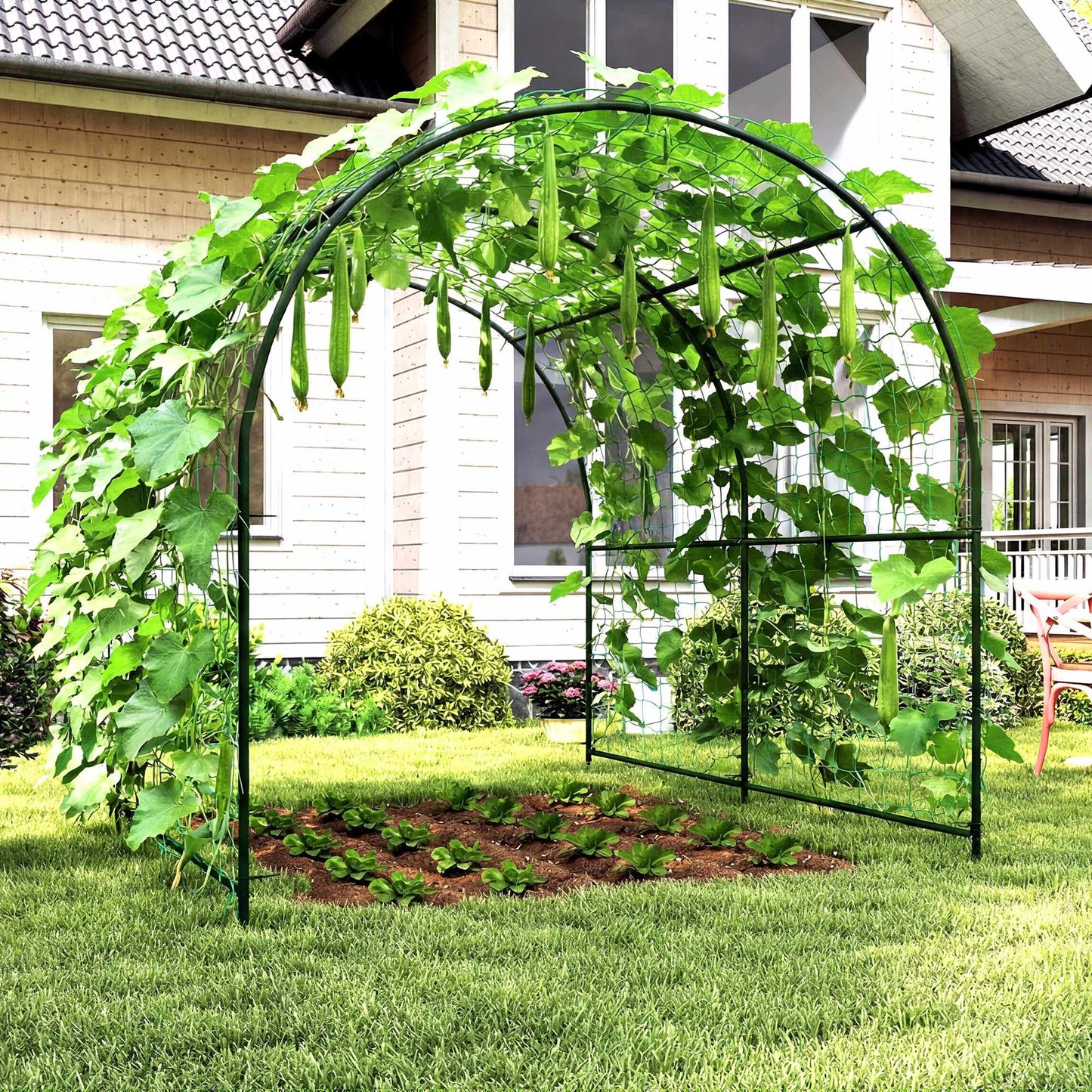 Tomato Trellis Arch, Steel, 216 cm, Dark Green