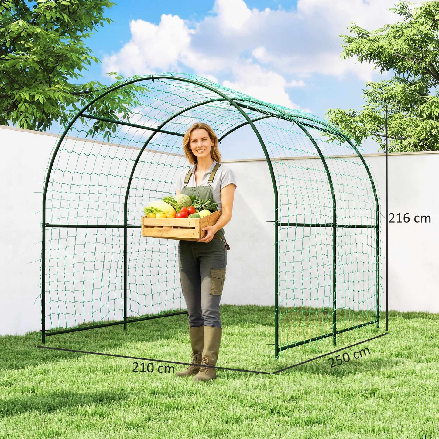 Tomato Trellis Arch, Steel, 216 cm, Dark Green