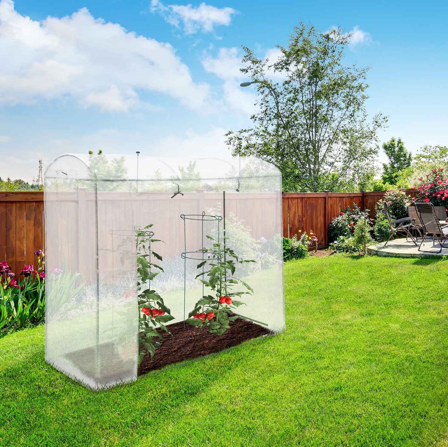 Tomato greenhouse XL with round roof