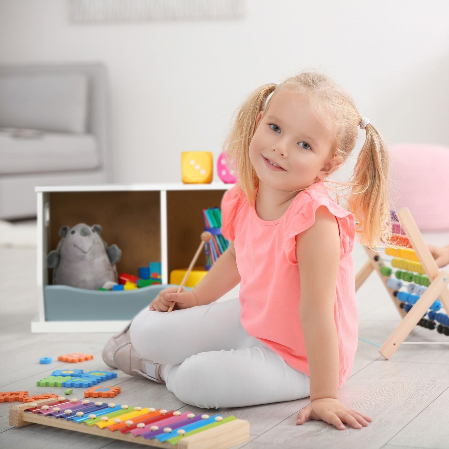 Toy Storage with 2 Compartments