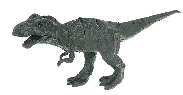 Track - dinosaur park