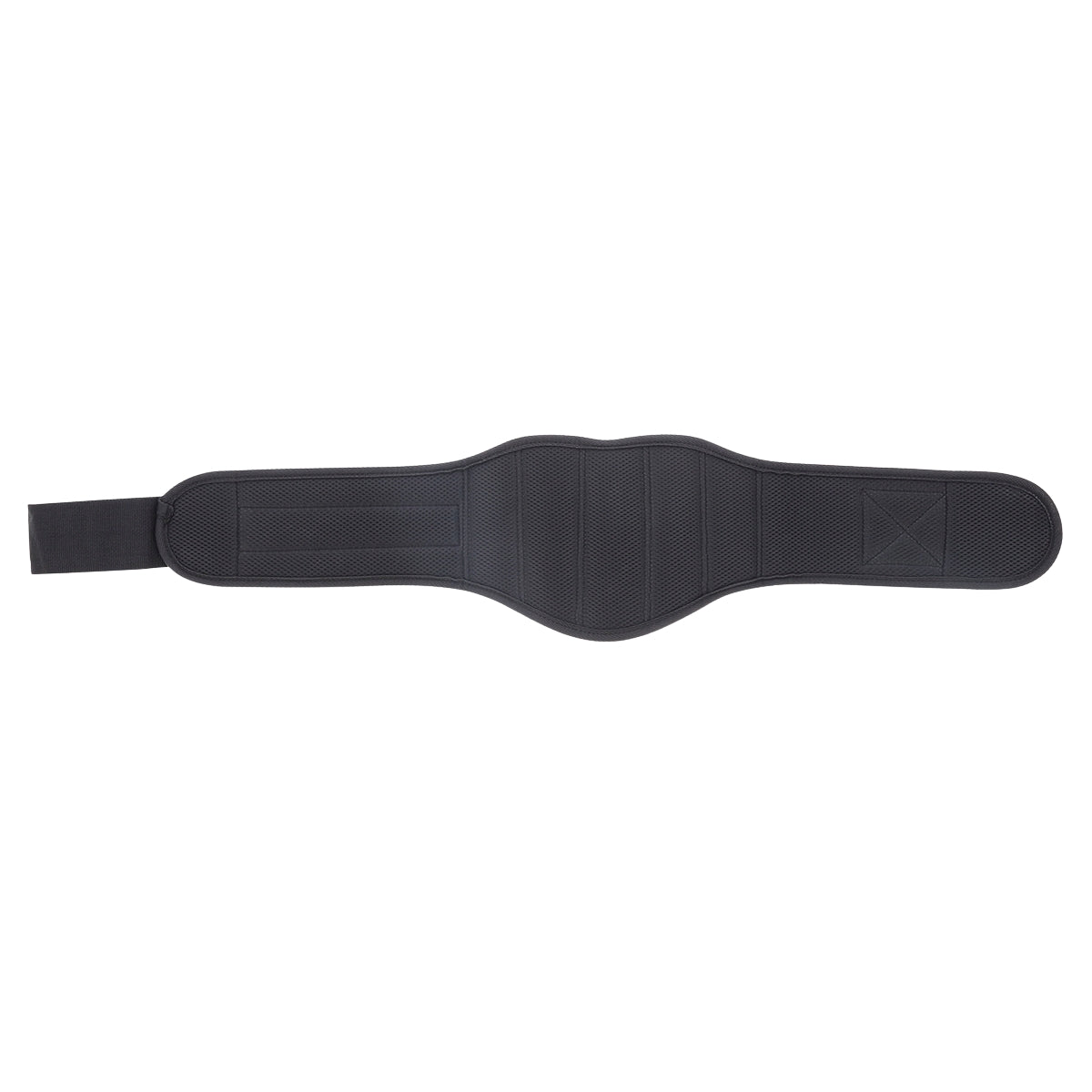 Training Belt, Size L, Adjustable Fitness Accessory