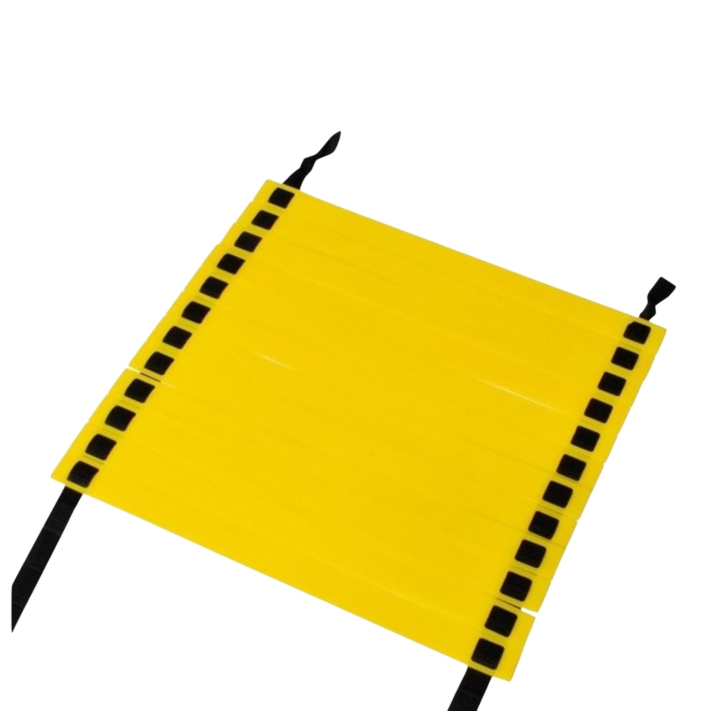 Training ladder