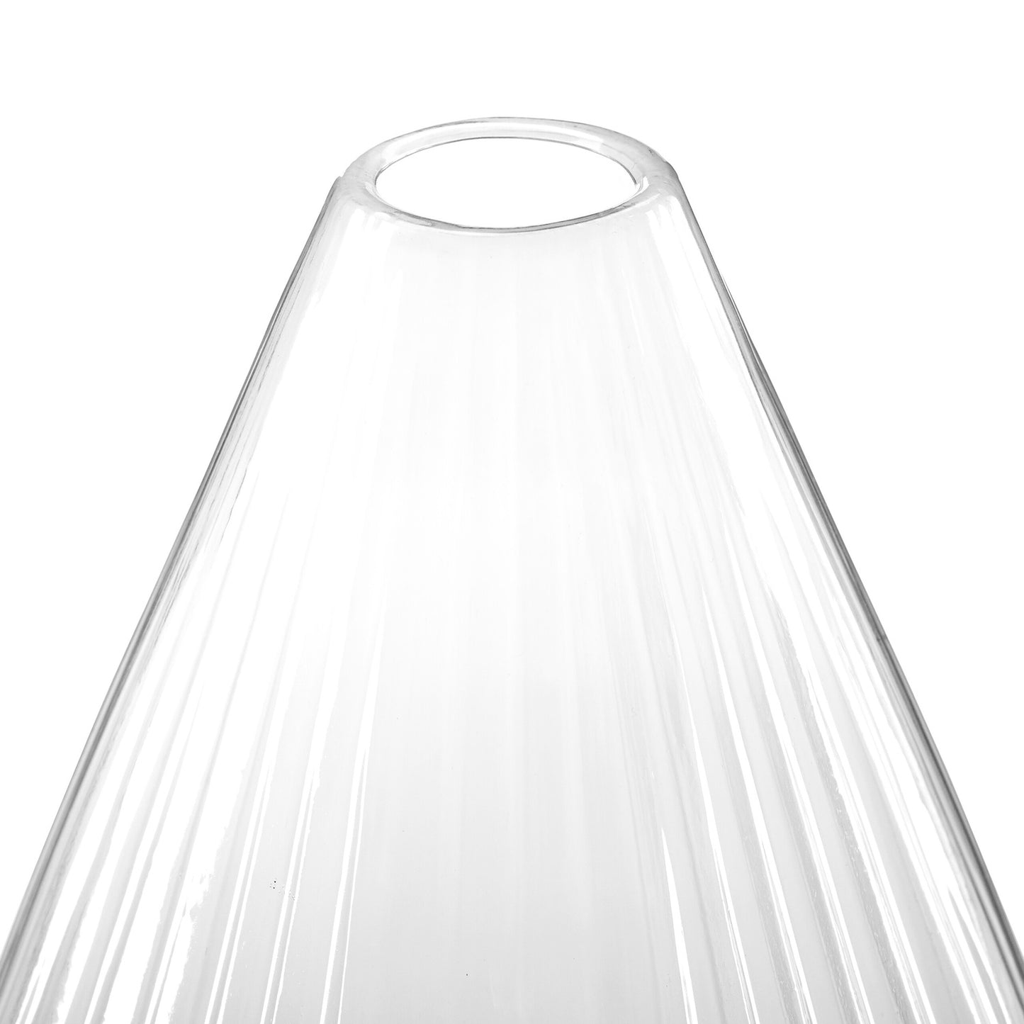 Transparent plant hat 10-pack