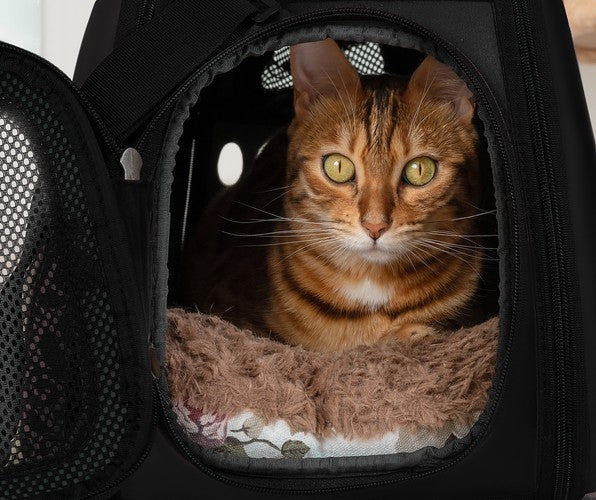 Transporter - dog/cat bag - black