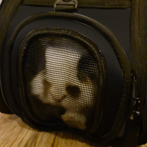 Transporter - dog/cat bag - black