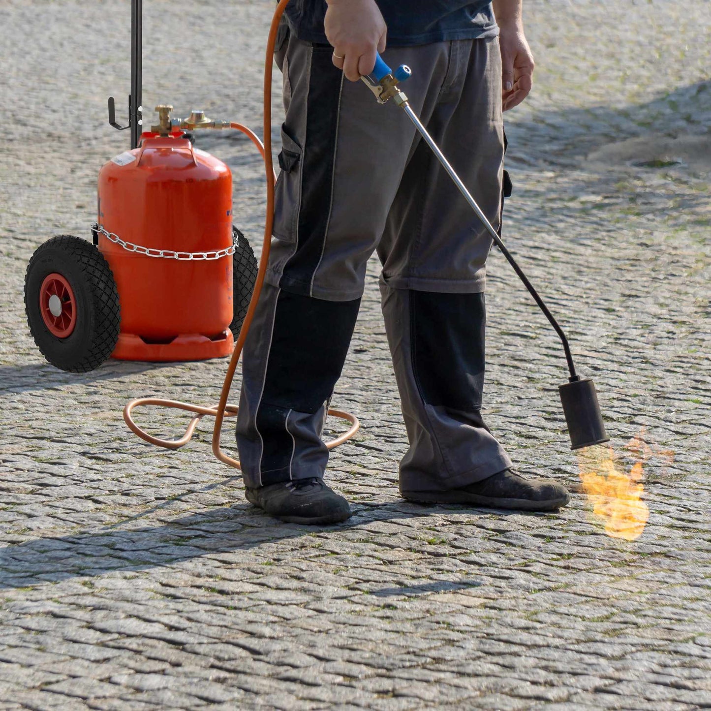 Transport trolley for gas cylinders
