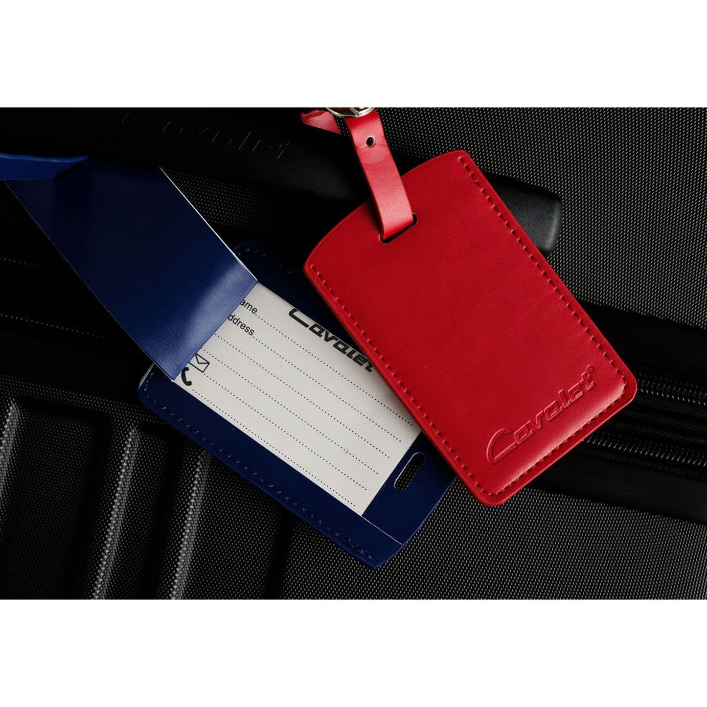 Travel Kit with Neck Pillow, Bottles, Tag, Strap, Mask