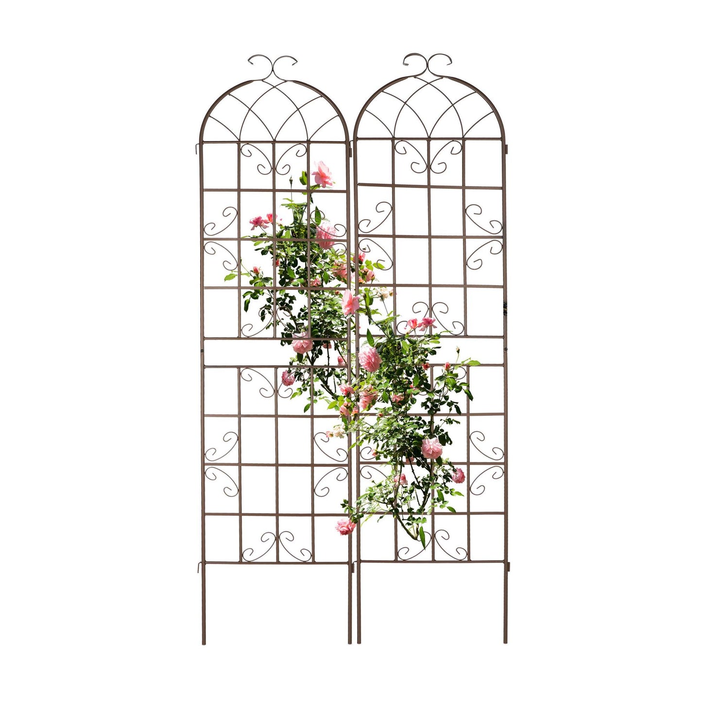 Trellis 220 cm set of 2 brown