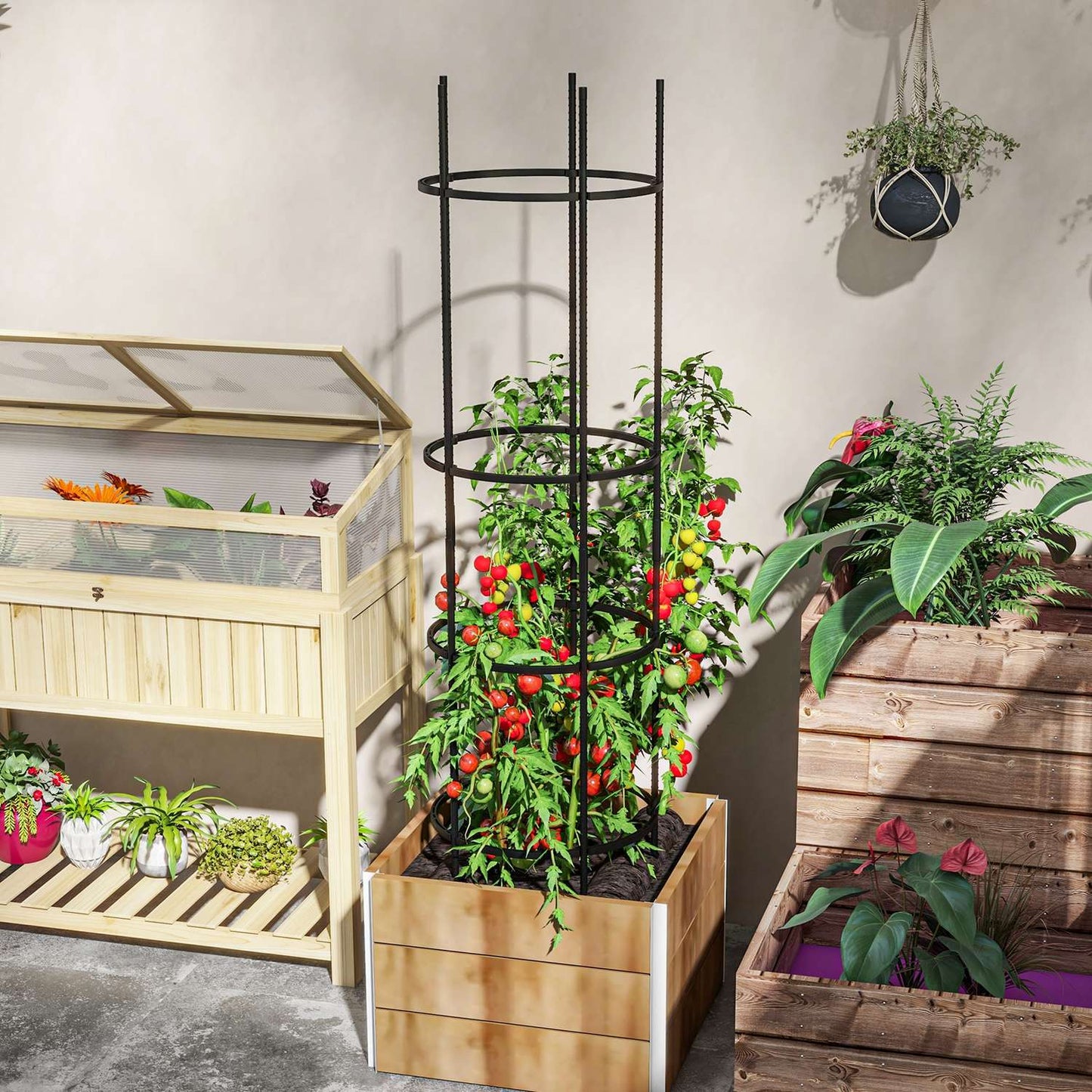 Black steel 4-layer plant holder and tomato cage for balcony garden