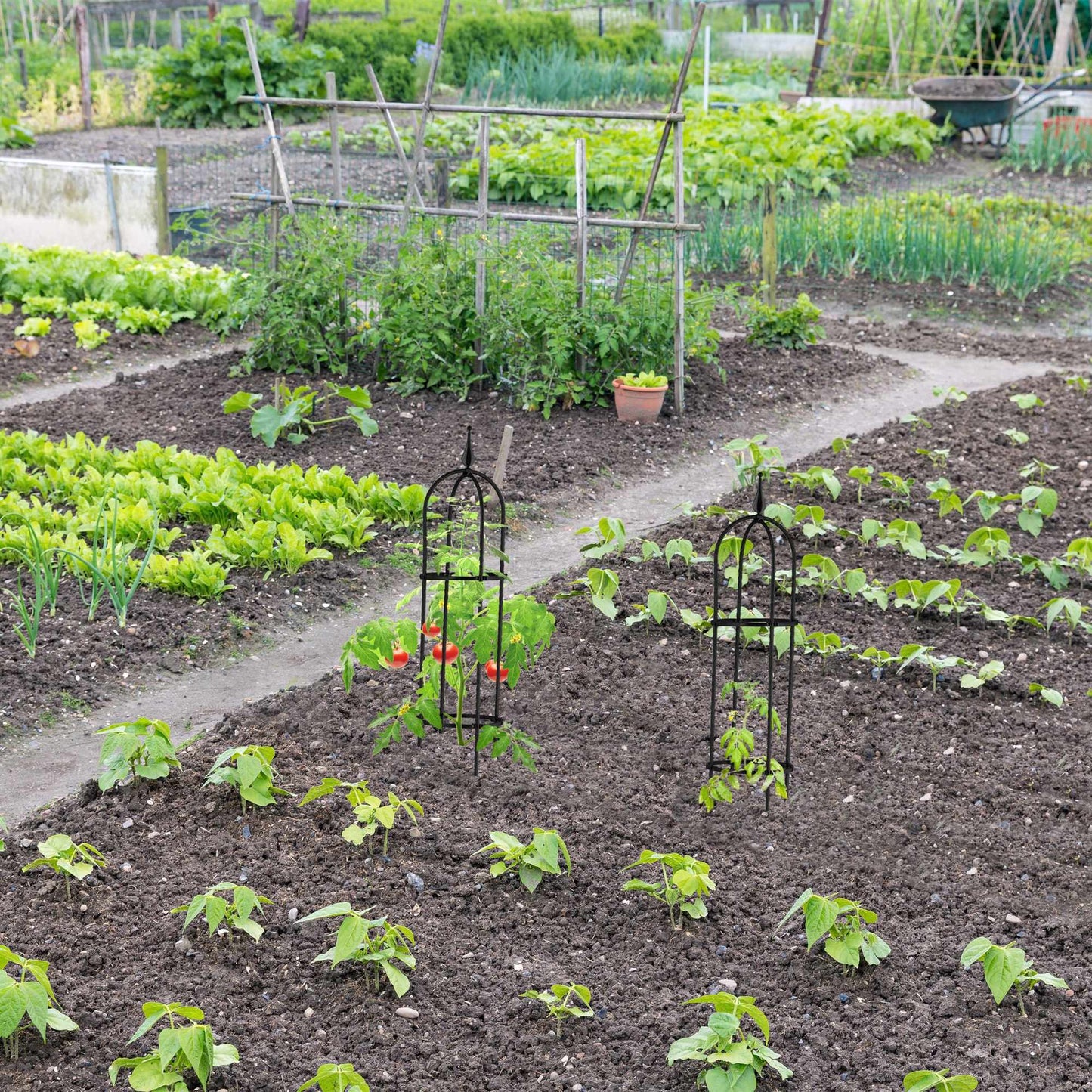 Trellis 85 cm, set of 2