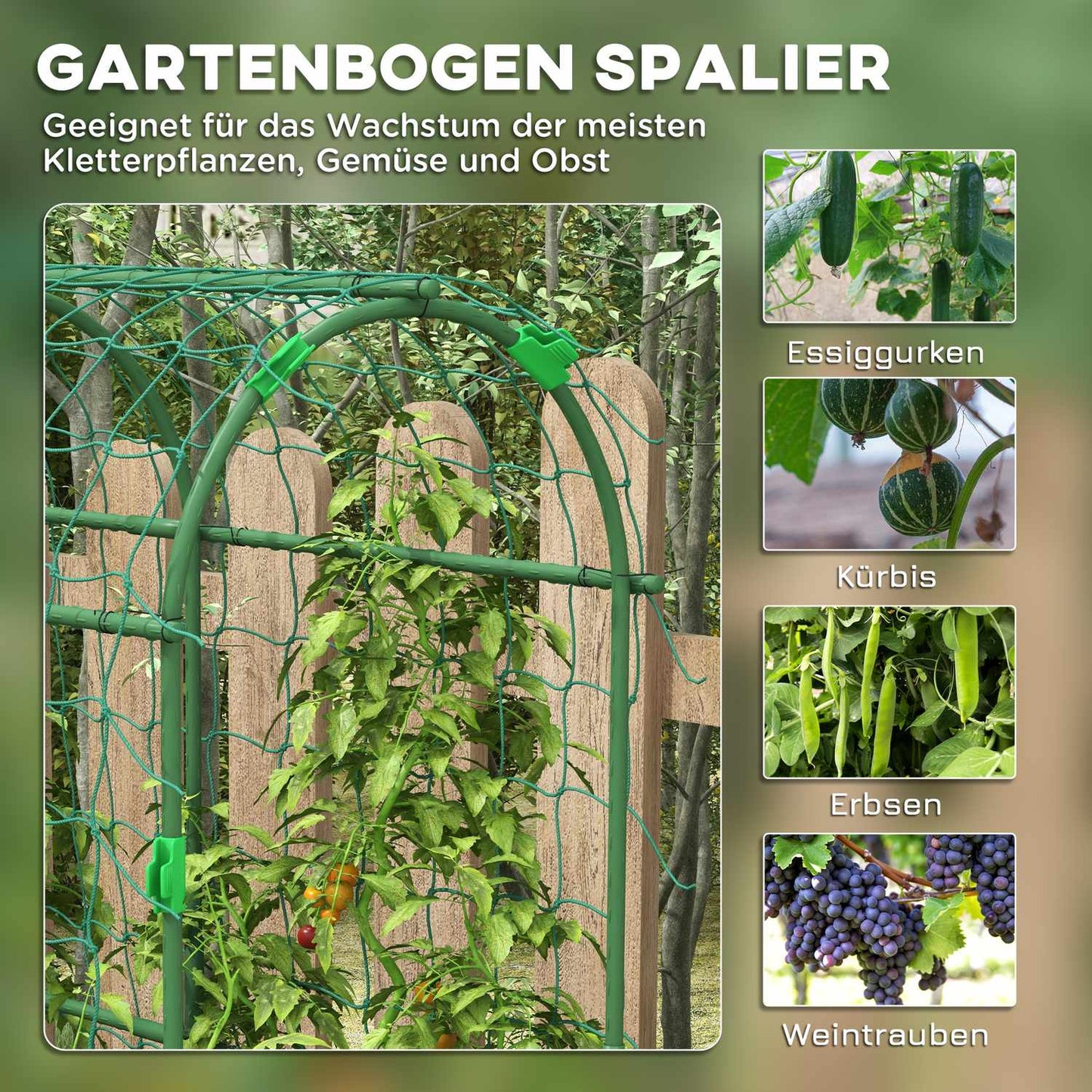 Adjustable plant trellis in steel with net for garden, balcony