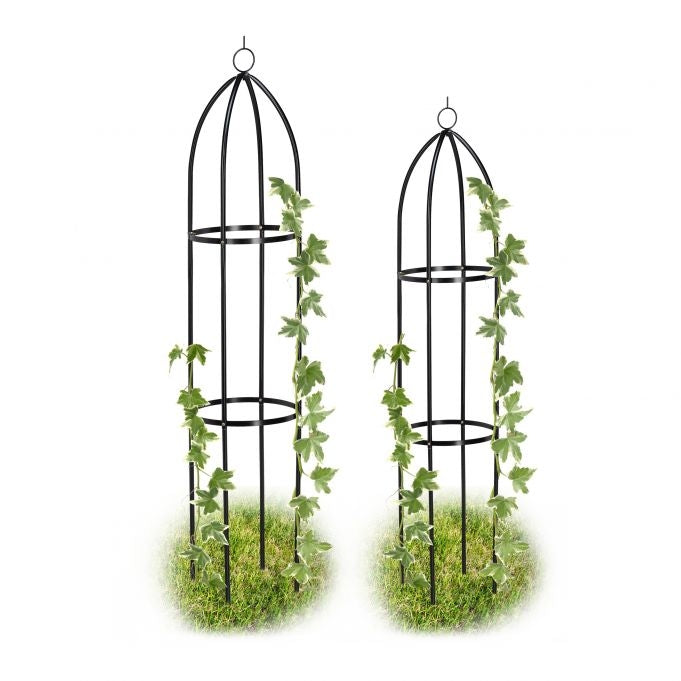 Trellis set of 2