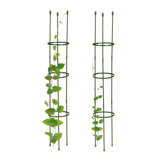 Trellis set of 2