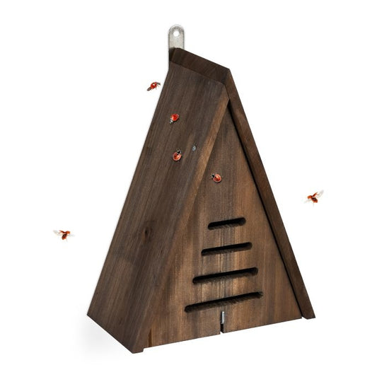 Triangular ladybug house