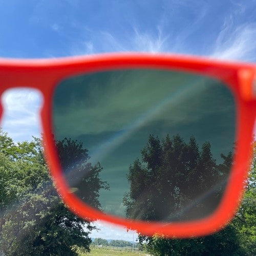 Trizand 23310 sunglasses