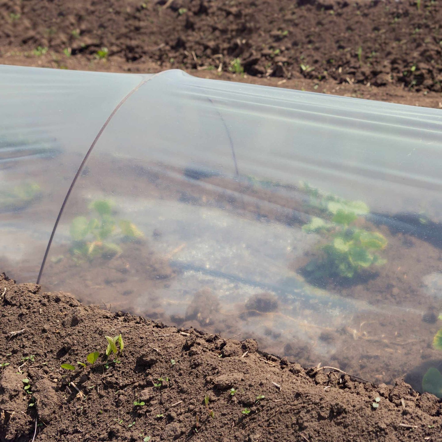 Tunnel greenhouse garden 3.7 m