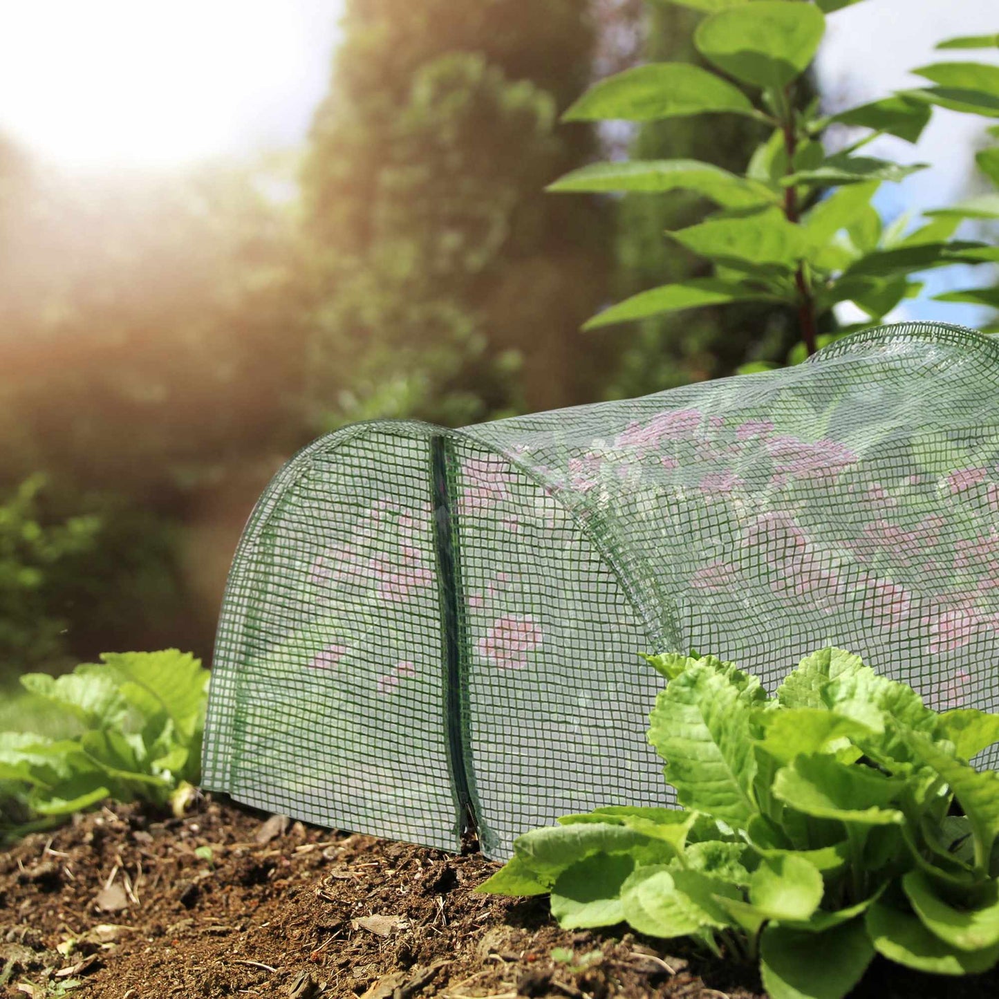 Tunnel greenhouse garden