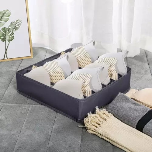 Underwear organizer - set of 4 pcs. Ruhy 19914