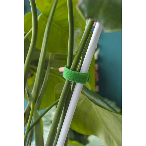 Velcro Garden Tape, 5m – Reusable, Weather-Resistant