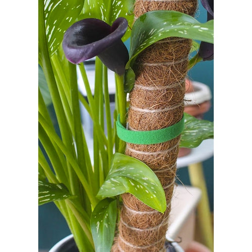 Velcro Garden Tape, 5m – Reusable, Weather-Resistant