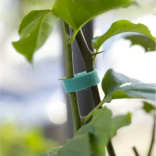 Velcro Garden Tape, 5m – Reusable, Weather-Resistant