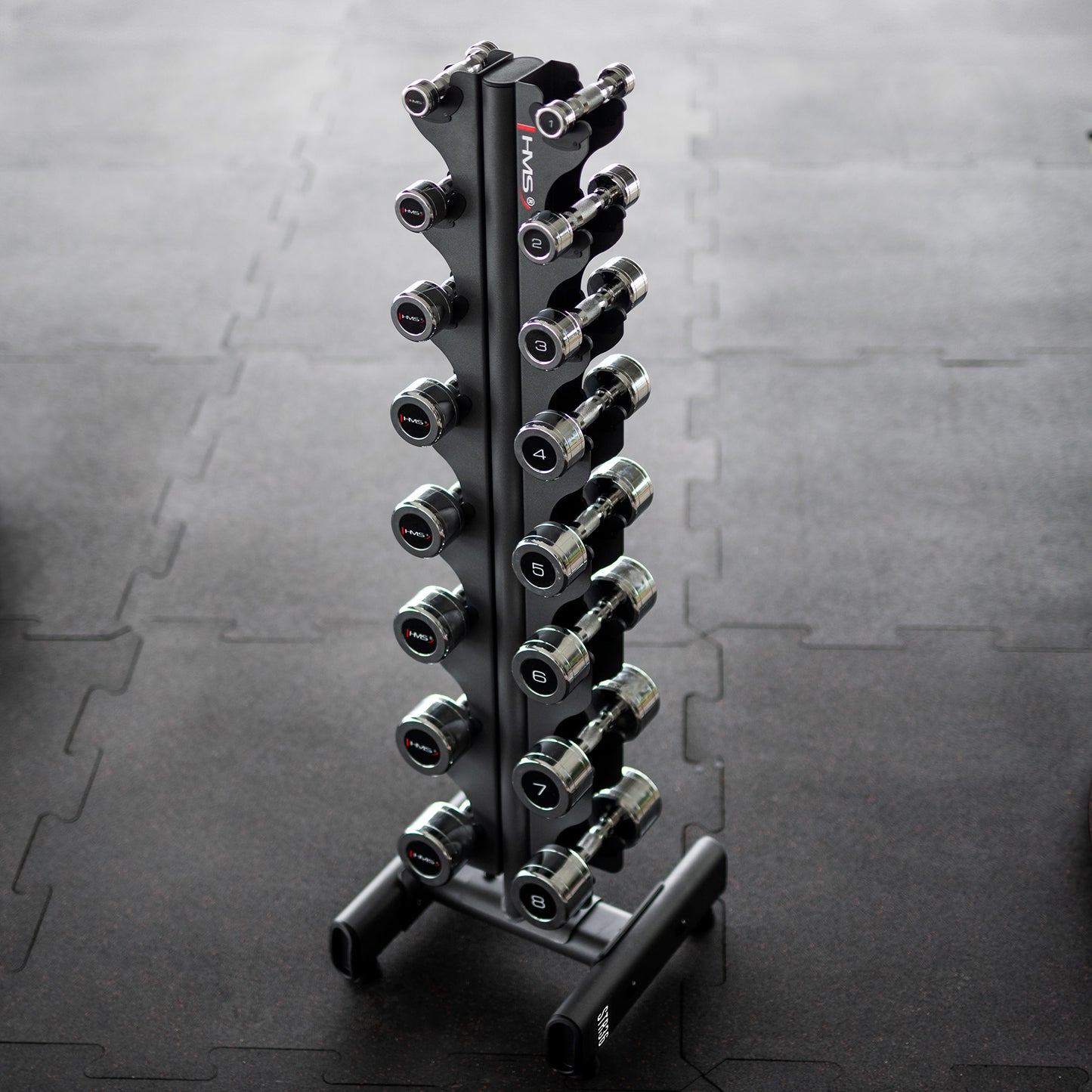 Vertical Dumbbell Rack for Women, Semi-Commercial Use