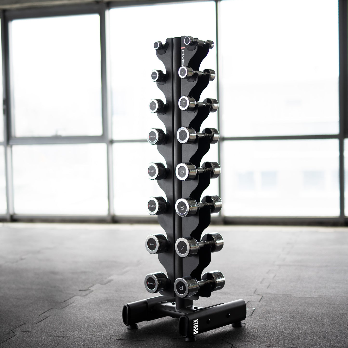 Vertical Dumbbell Rack for Women, Semi-Commercial Use