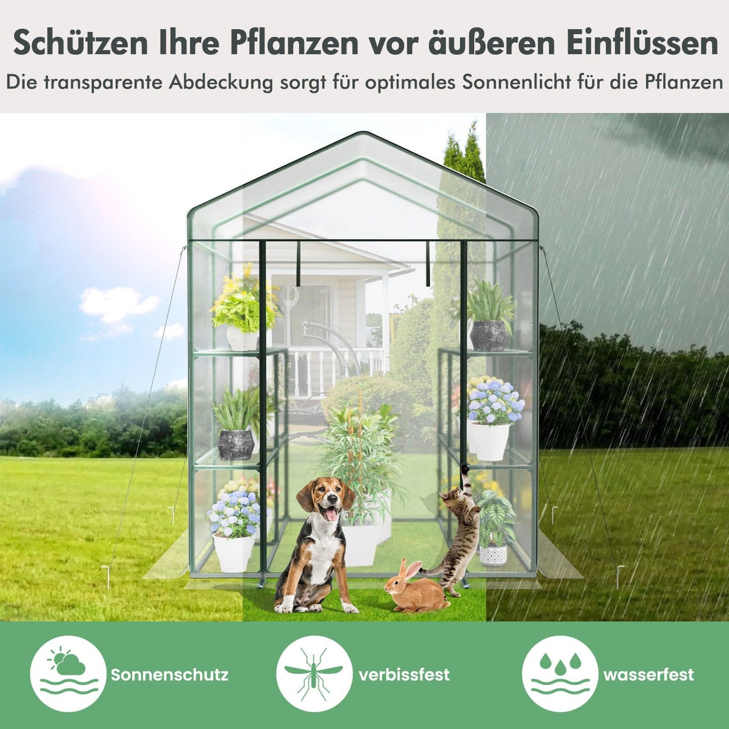 Walk-In Greenhouse with 8 Shelves, PVC Cover, 139x144x195 cm