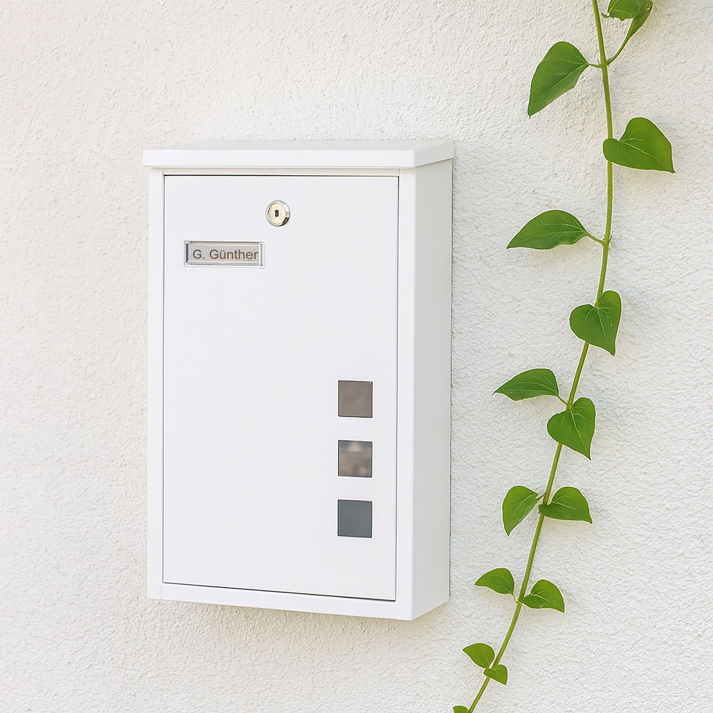 Wall-Mounted Letterbox with Viewing Windows