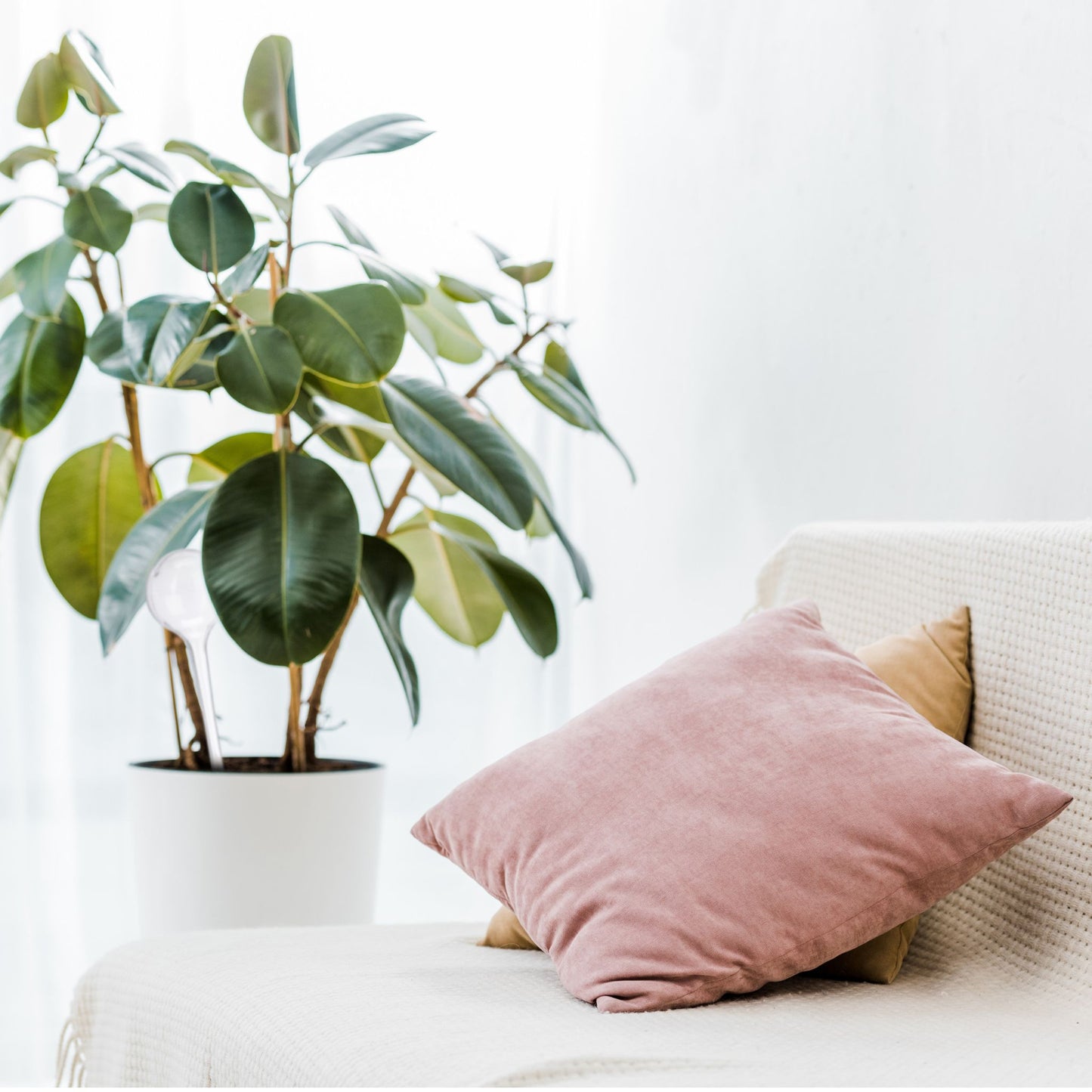 Water balloons - set of 4