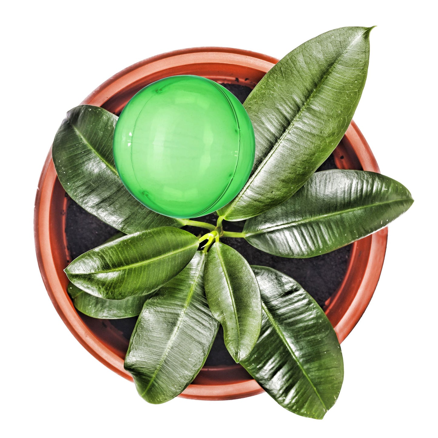 Water balloons - set of 4