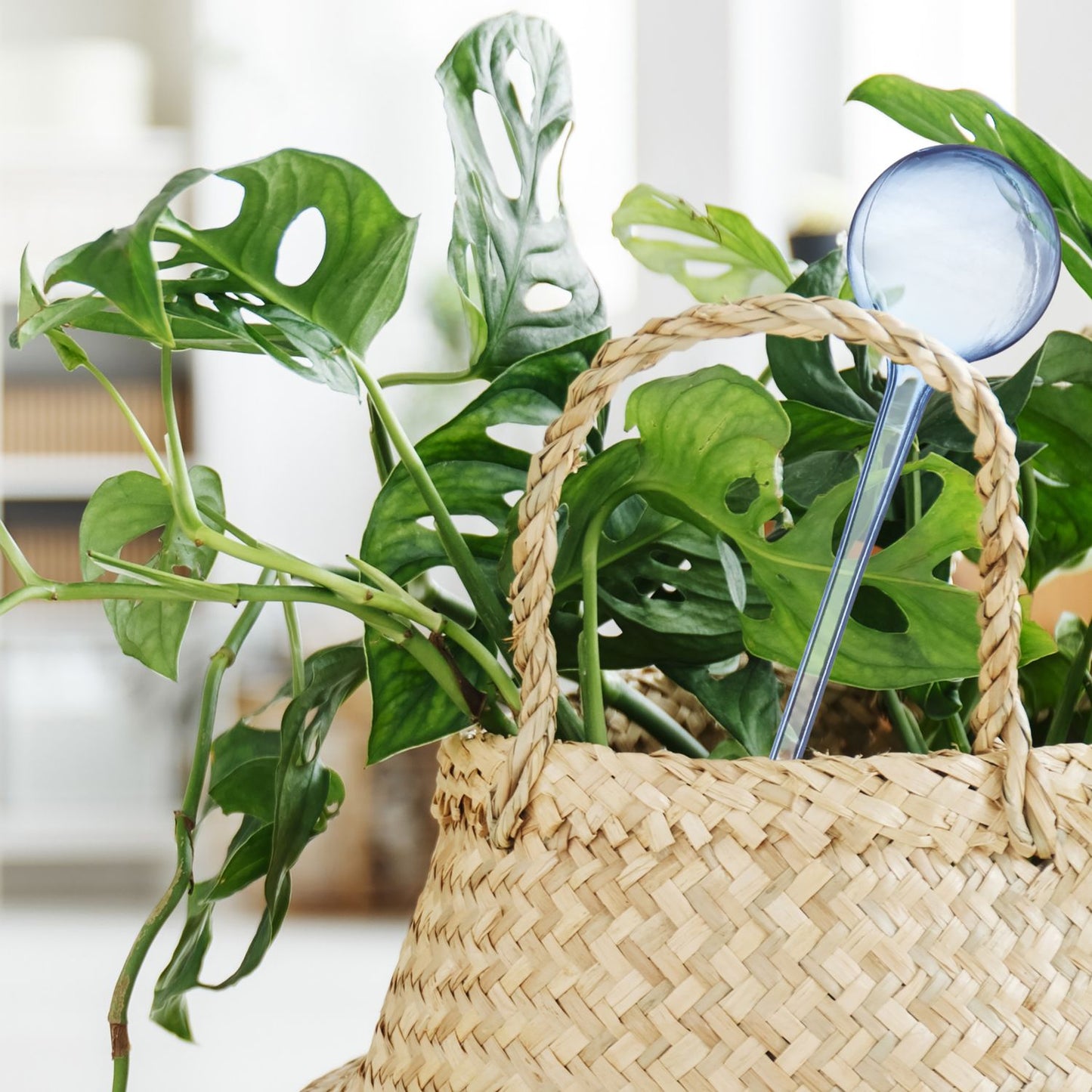 Water balloons - set of 4