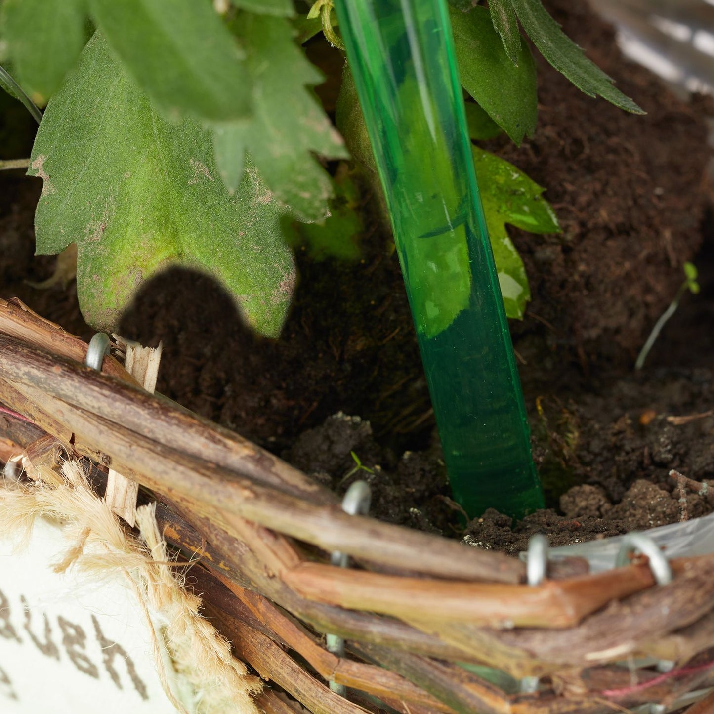 Water balloons - set of 4