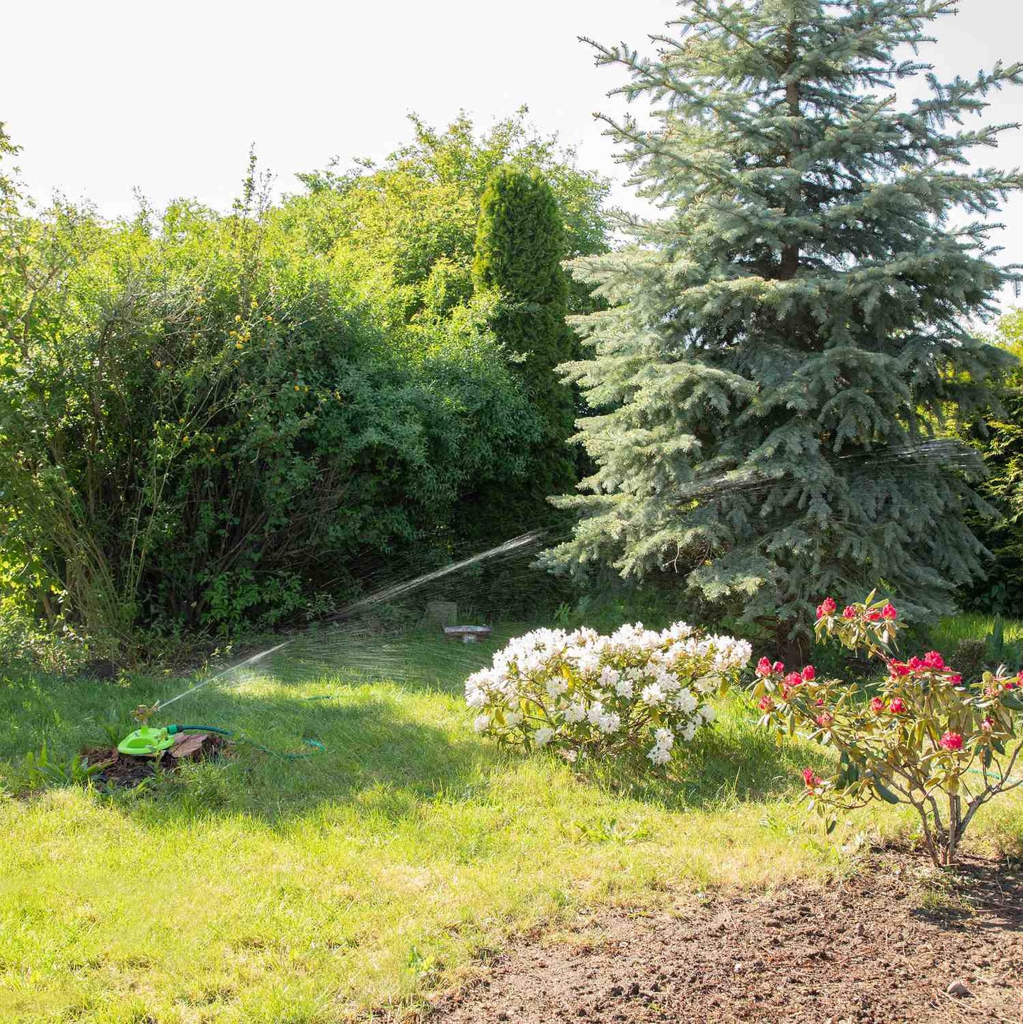 Water dispenser round