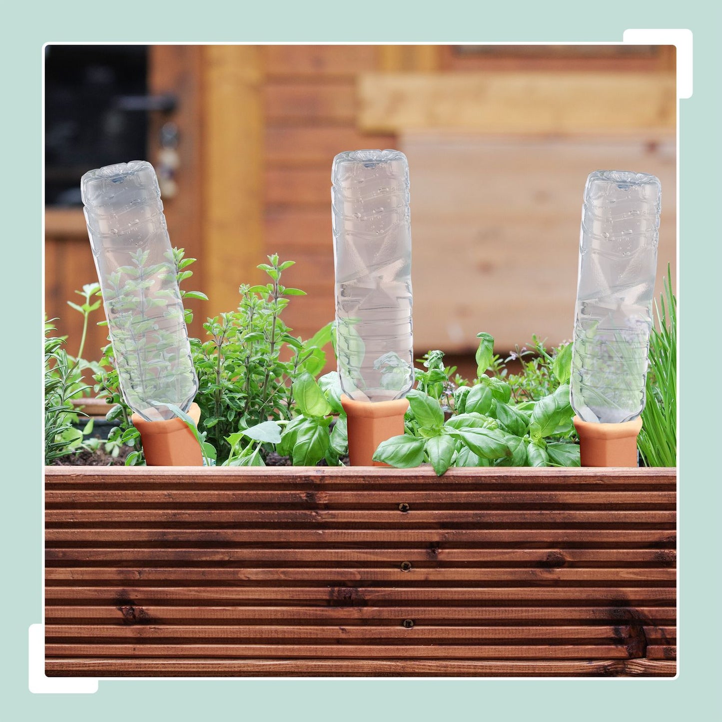 Watering cones 14-pack