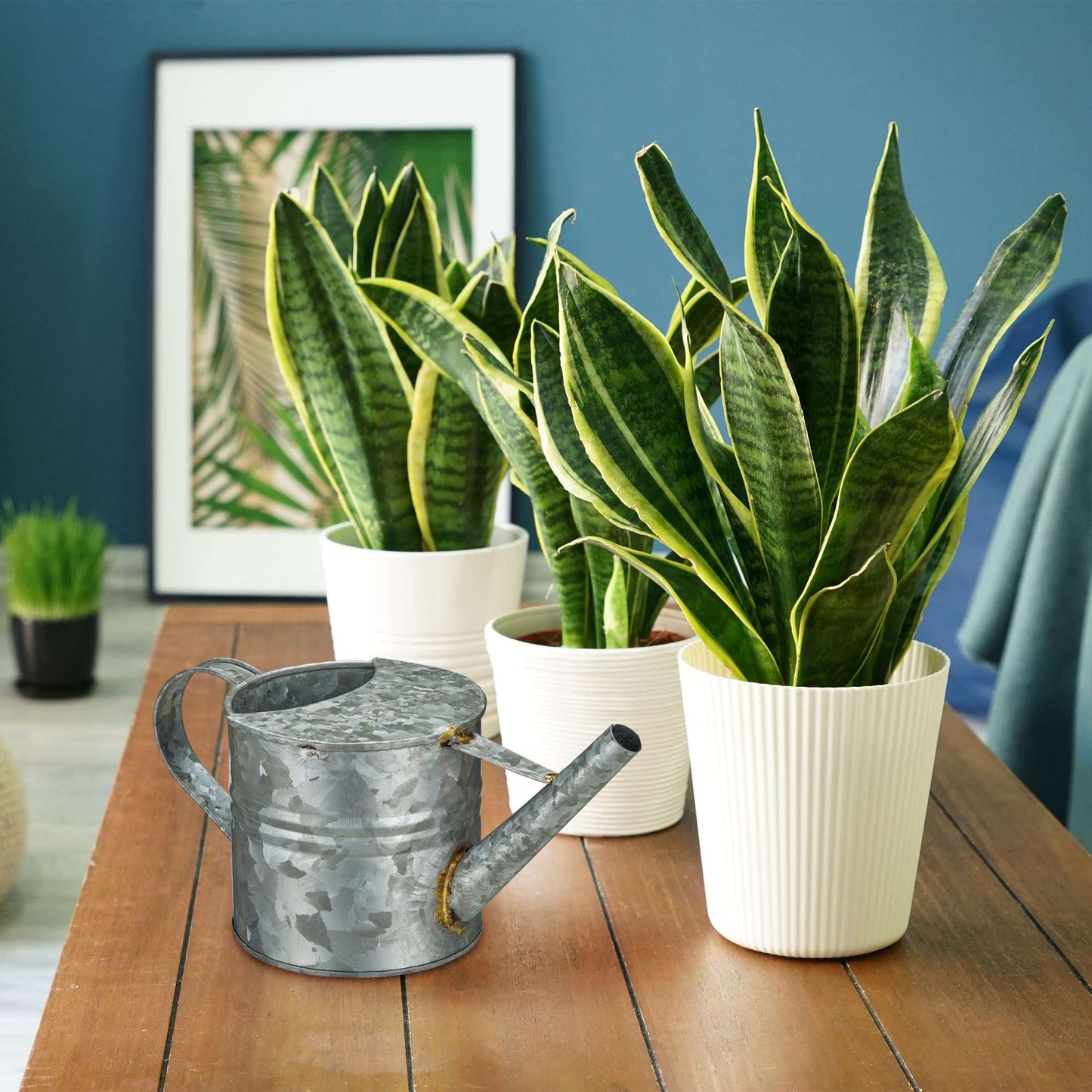 Water jug metal