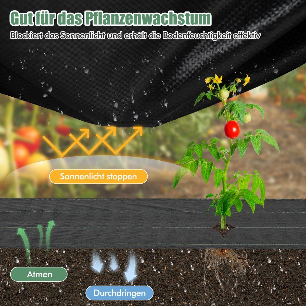 Weed Barrier Fabric, 50m², Black, 25x2m, 60g/m²