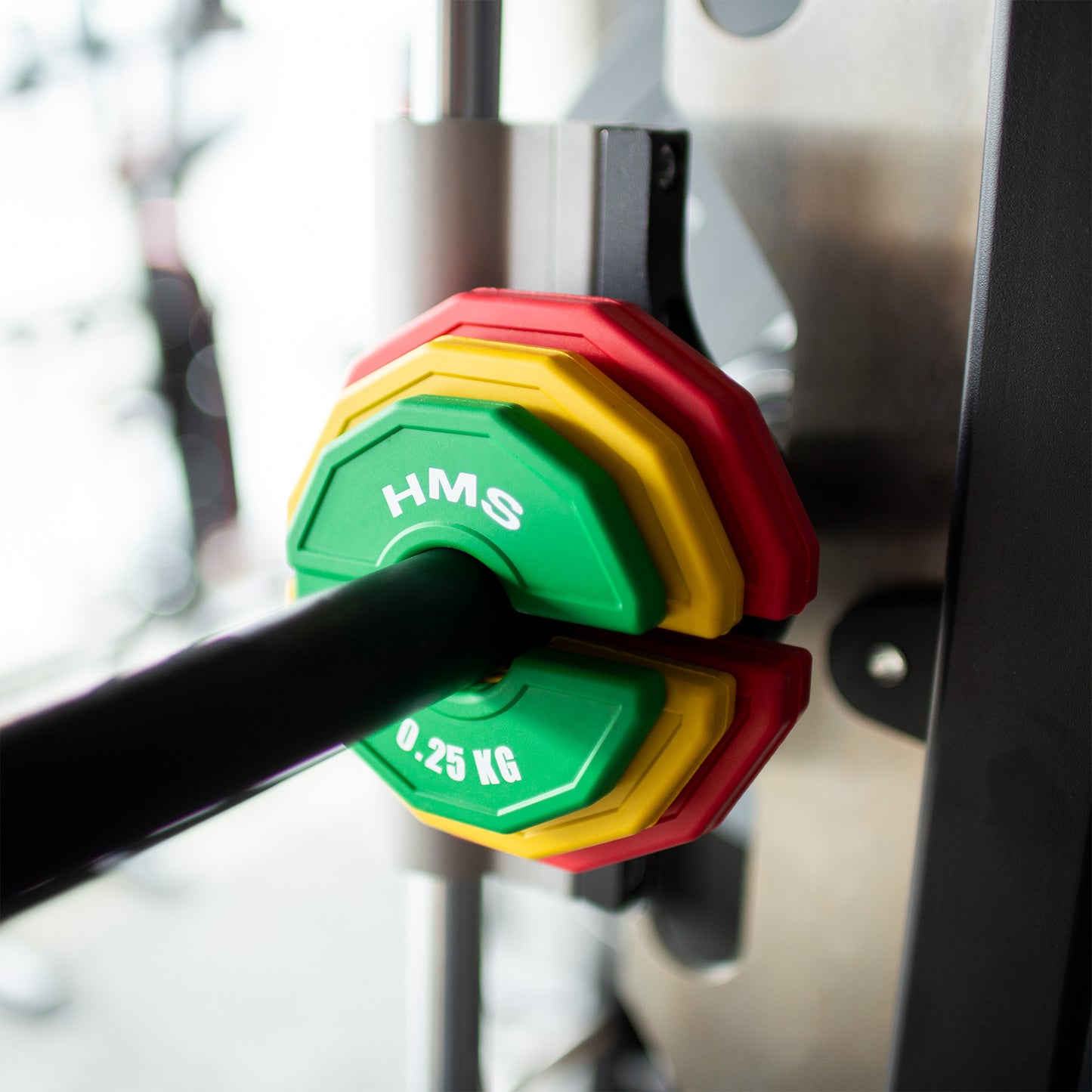 Weight Plate 2 x 0.5 kg for Strength Training