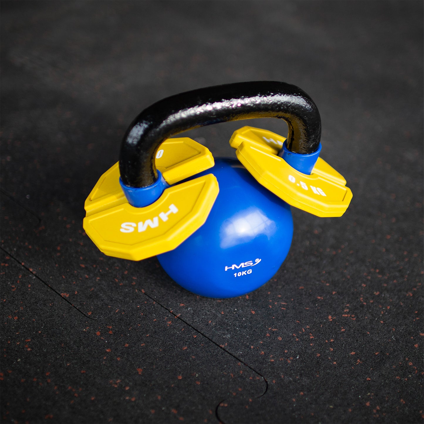 Weight Plate 2 x 0.5 kg for Strength Training