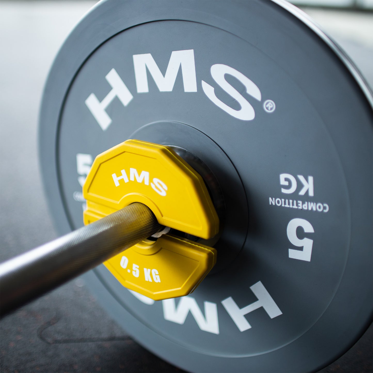 Weight Plate 2 x 0.5 kg for Strength Training