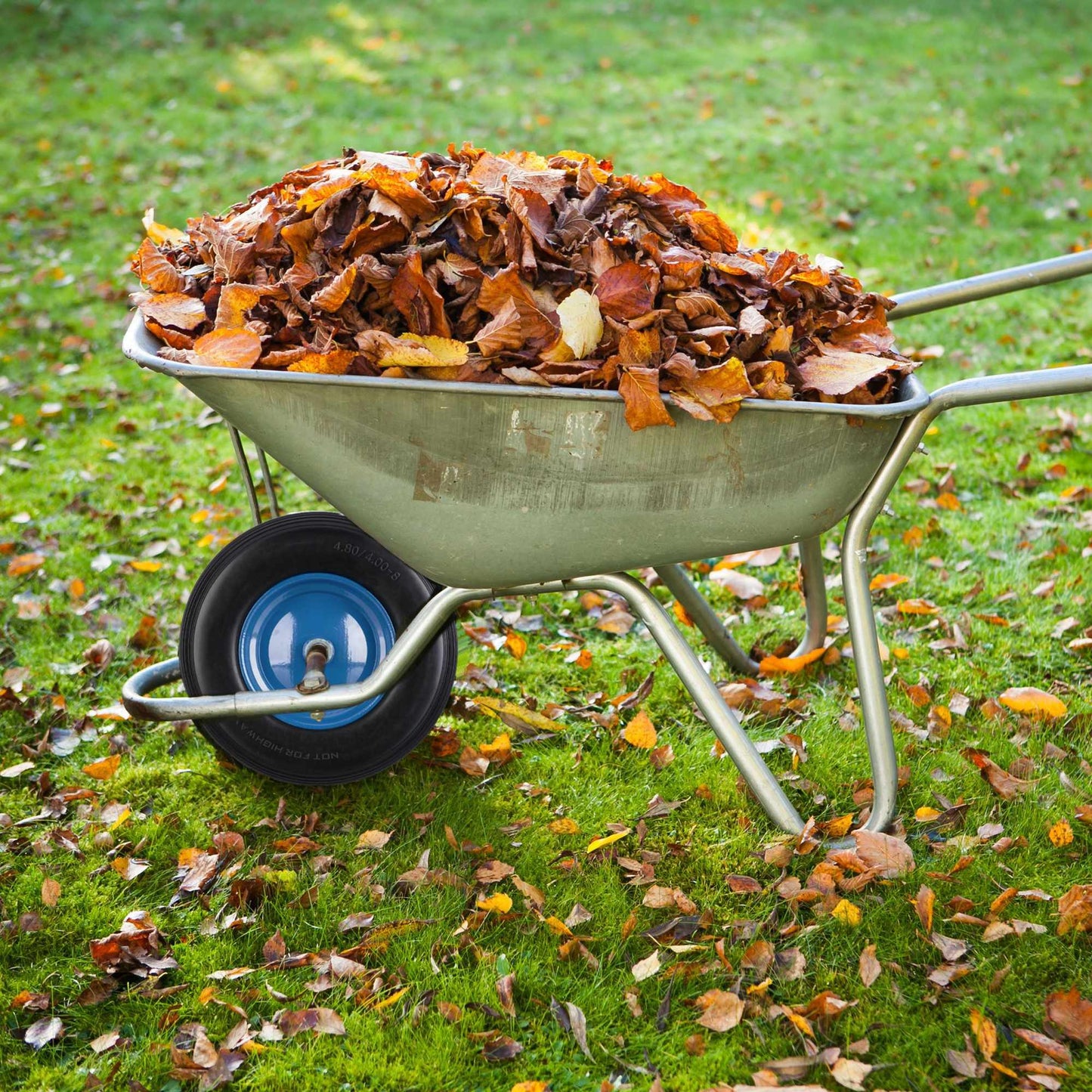 Wheelbarrow Wheel with Blue Rim & Axle