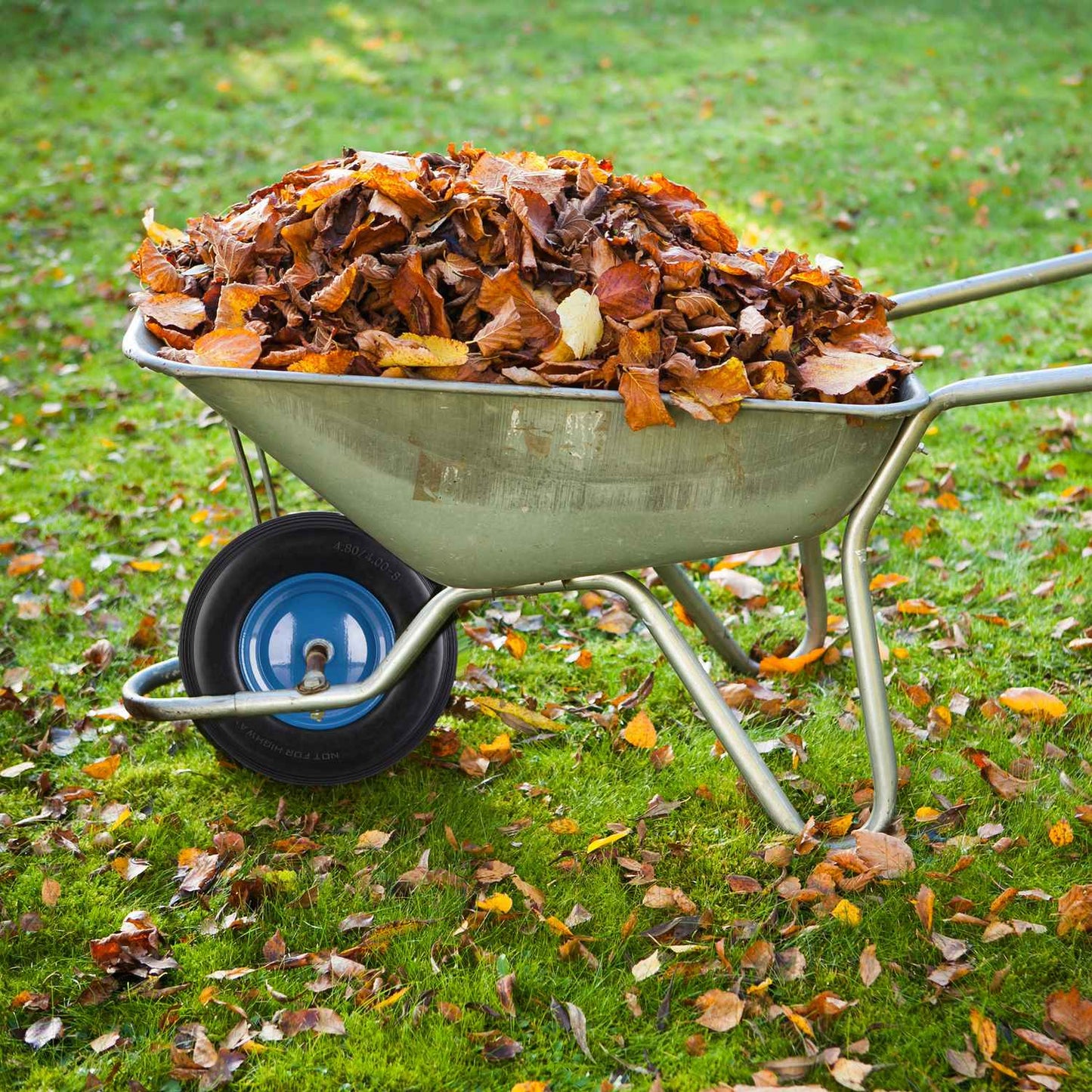 Wheelbarrow Wheel with Blue Rim & Axle