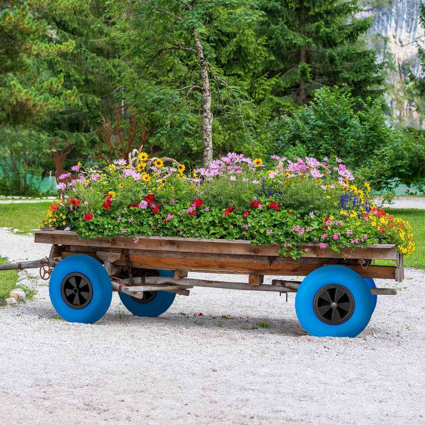Wheel for wheelbarrow 3.50-6 in blue/black