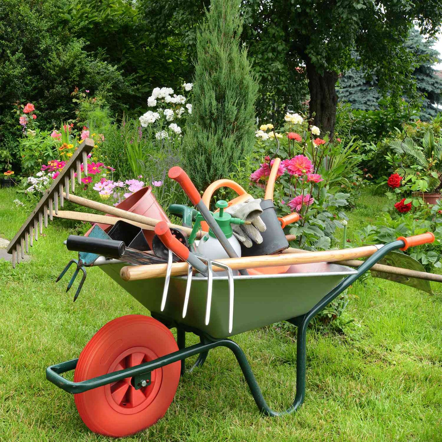 Wheel for wheelbarrow 3.50-6 in red