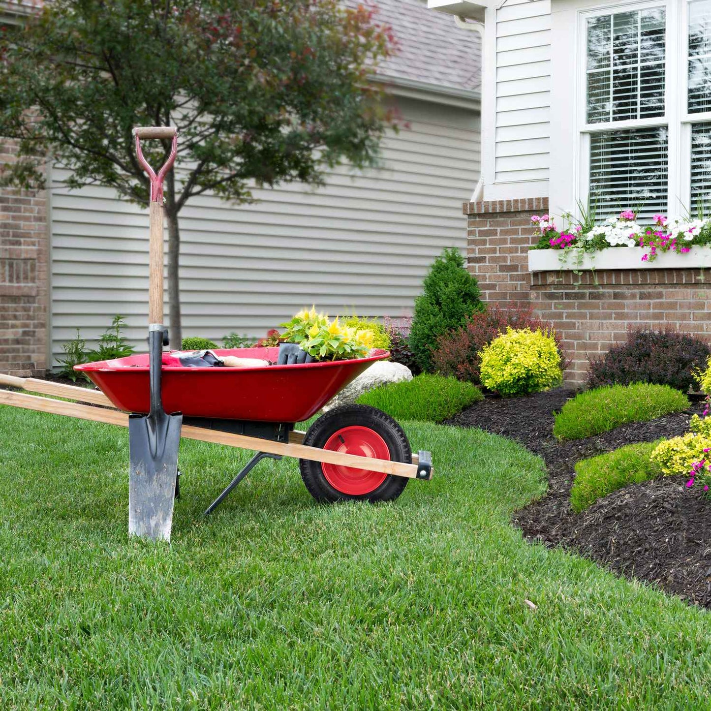 Wheel for wheelbarrow 3.50-8 with pneumatic tires
