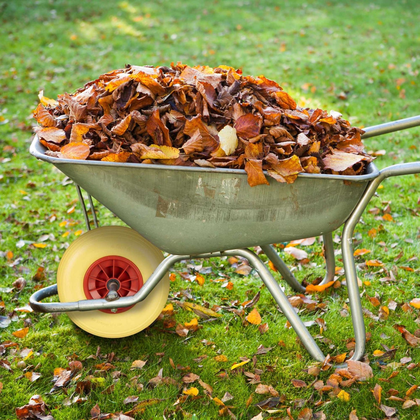 Wheel for wheelbarrow solid rubber 4.00-6