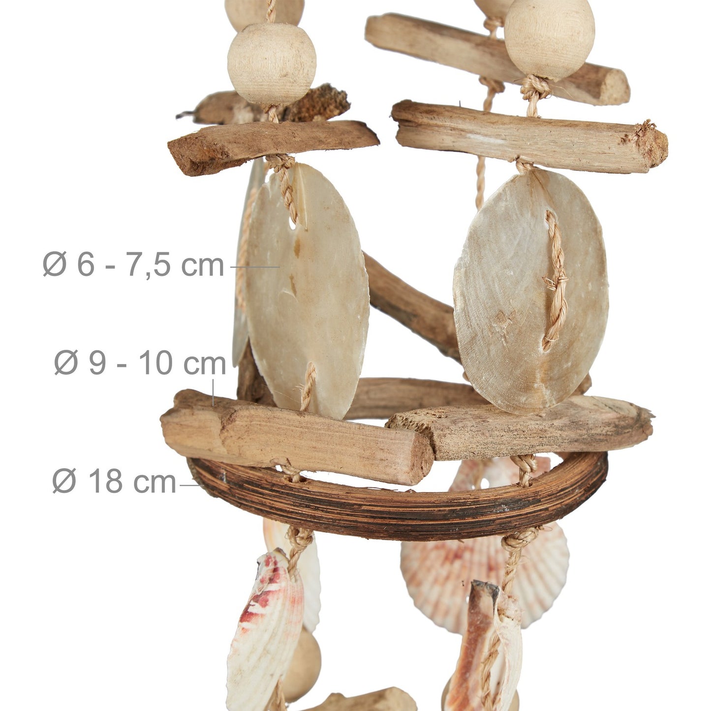 Wind chime shells in 2 sizes