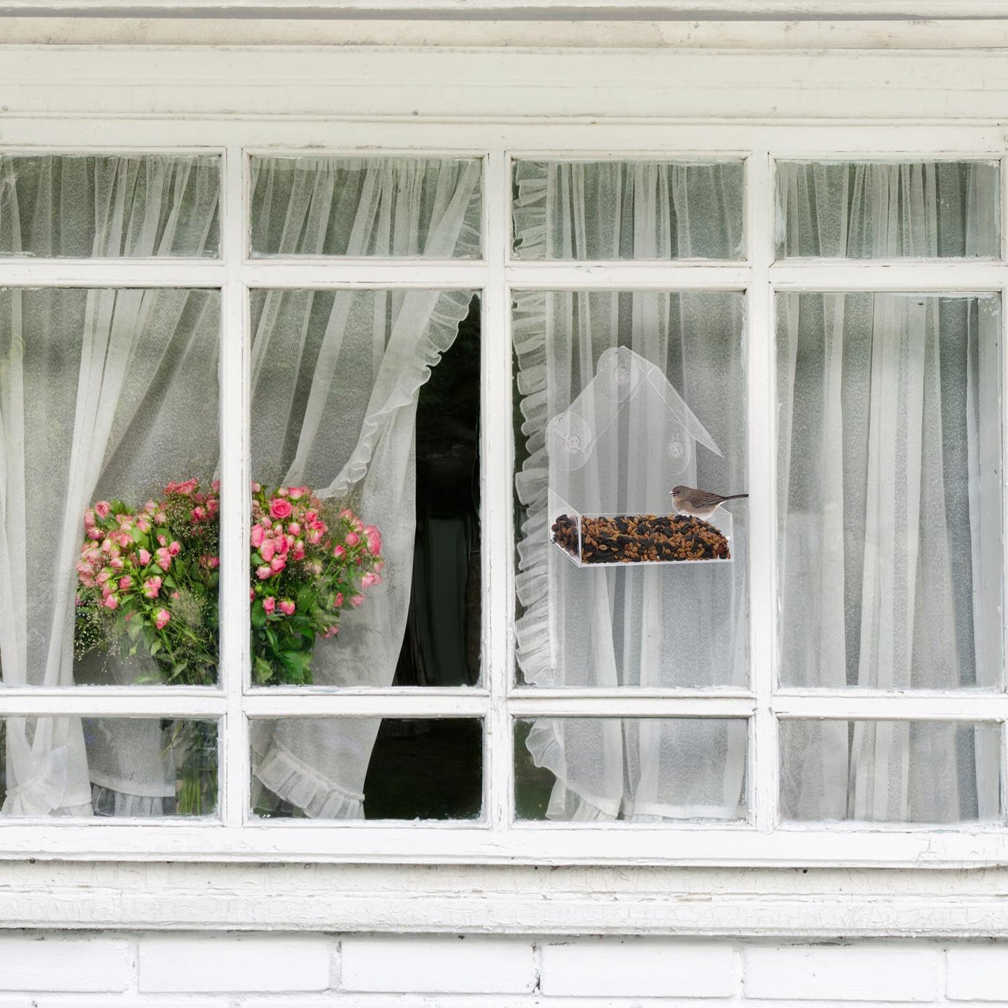 Window bird feeder, set of 2