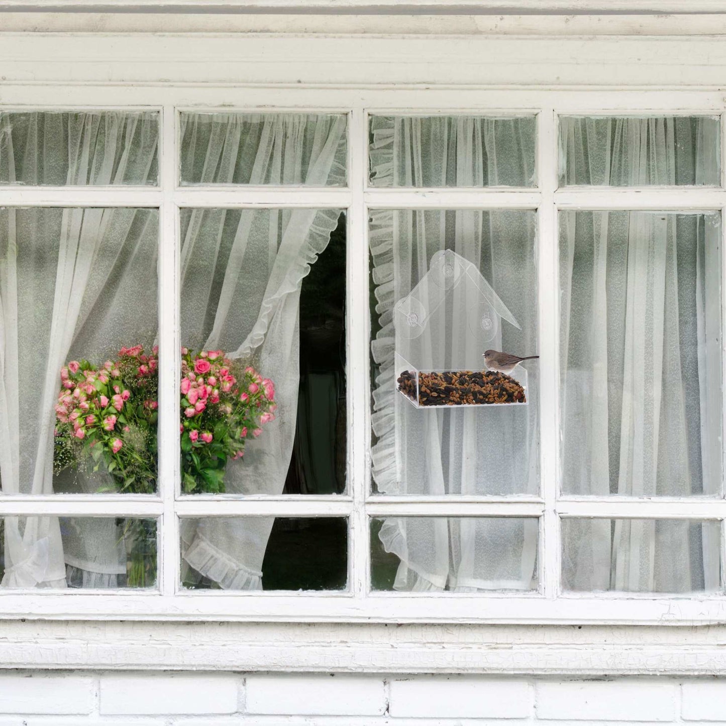 Window bird feeder, set of 2
